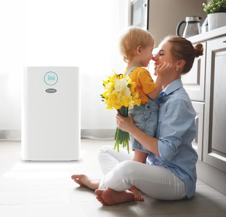Air Purifiers 
